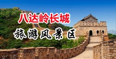 想想看免费操逼中国北京-八达岭长城旅游风景区